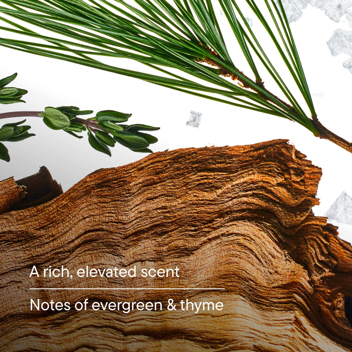 Odor Control | Deodorant